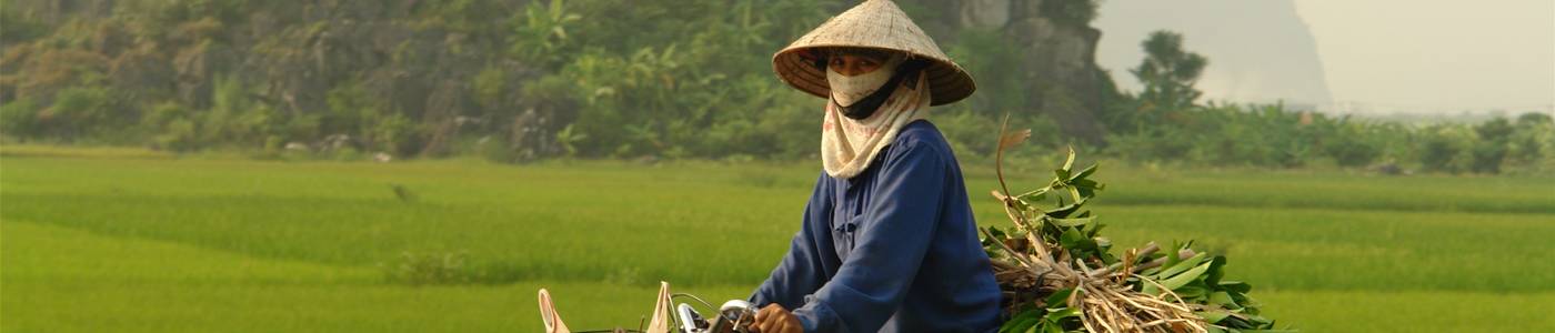 16 dagen Vietnam