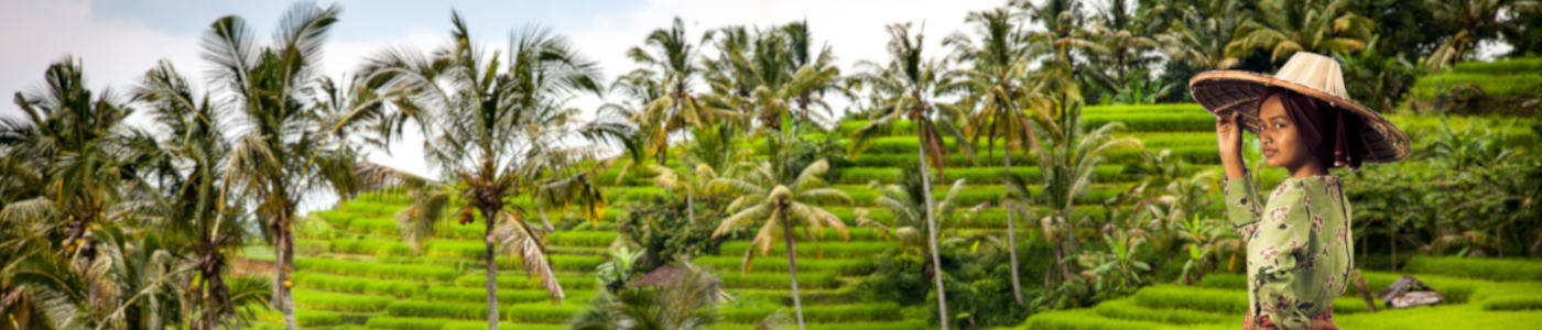 Volledig Verzorgde Reizen naar Indonesië