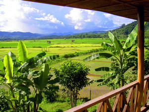 Groepsreizen Sumatra