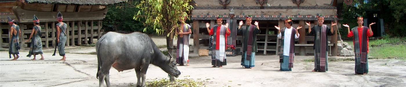 10 dagen Noord en West Sumatra