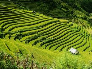 Indonesië reizen