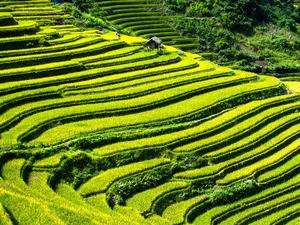 Individuele rondreizen Vietnam