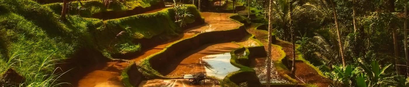 17 Dagen Java - Bali Volledig Verzorgd