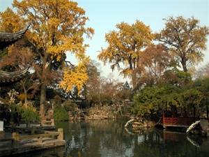 China 20 dagen