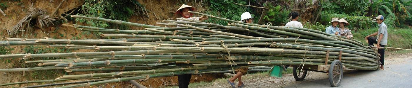 12 dagen Cambodja - Zuid Vietnam