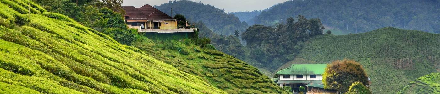 Individuele rondreis Singapore en Maleisië