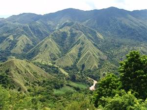 Sulawesi recensies