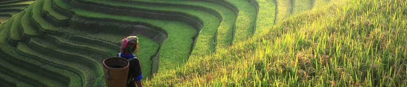 Groepsreizen naar Vietnam Volledig Verzorgd