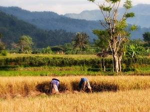 Bezienswaardigheden Indonesië