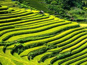 Vakantie Bali