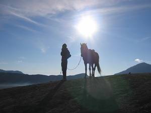 Zonsopkomst Bromo Vulkaan