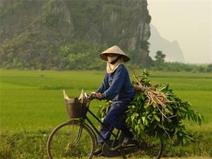 Bezienswaardigheden Vietnam