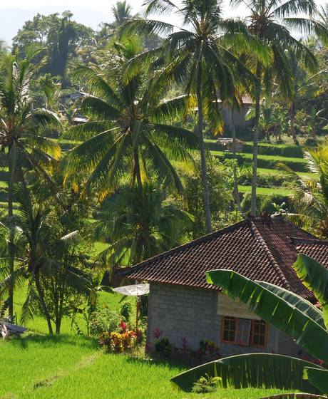 16 daagse rondreis Bali
