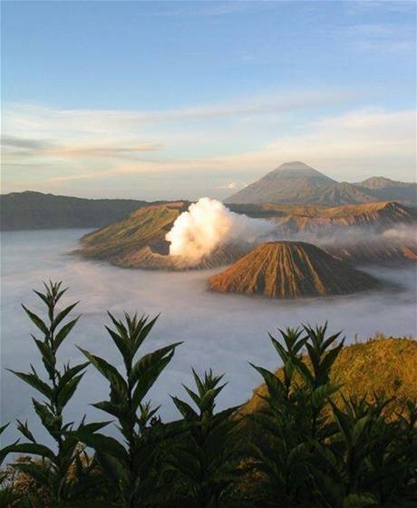 8 dagen Java en Bali