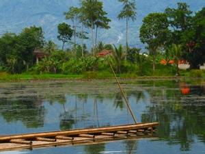 Bukit Lawang - Trekking en Camping