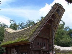 Sulawesi informatie