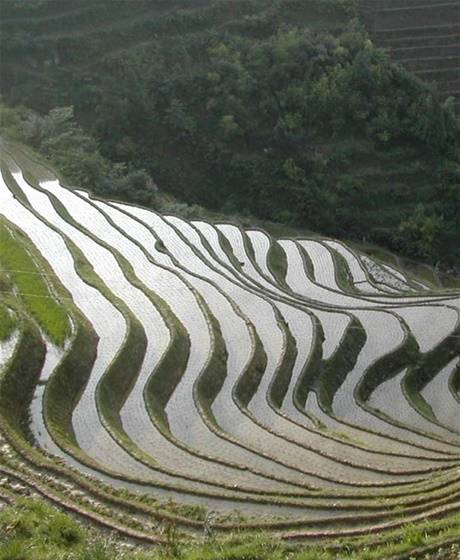 China individuele reis