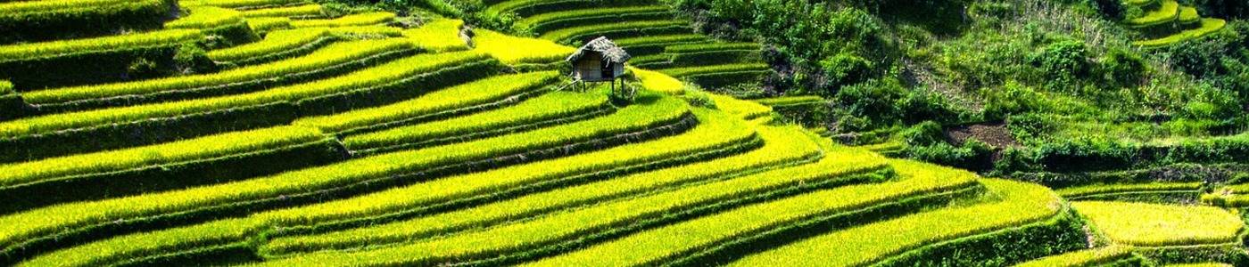 Reistips Bali
