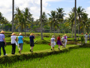 16  dagen Java - Bali